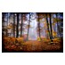 Papermoon Premium collection Fototapete Oktober Trail 