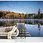 Papermoon Premium collection Fototapete Herbststeg (B x H: 500 x 280 cm, Vlies) | BAUHAUS