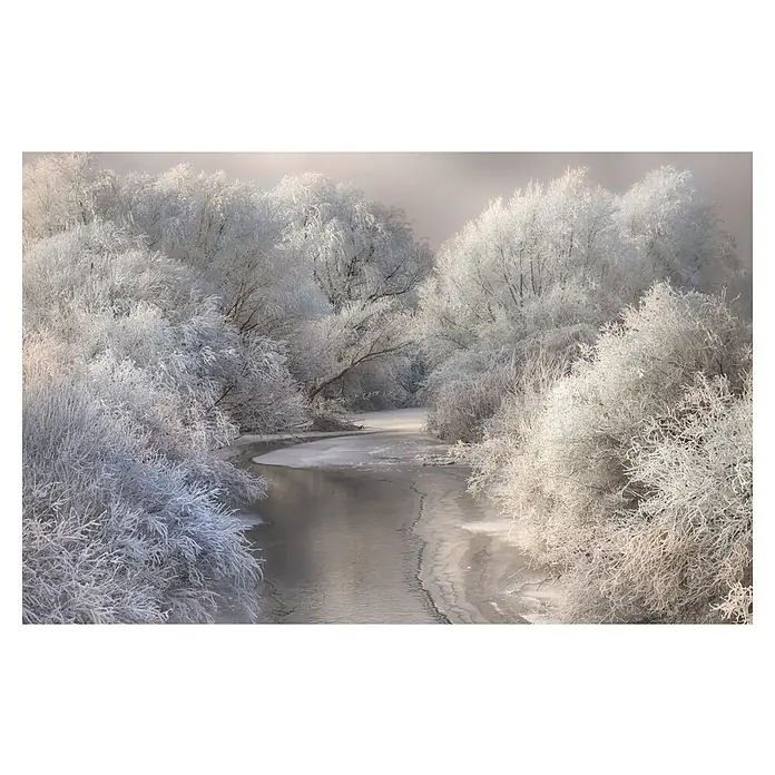 Papermoon Premium collection Fototapete Winterlied - B x H: 450 x 280 cm, Vlies - Winterlandschaft mit Fluss und schneebedeckten Bäumen, die eine ruhige und friedliche Atmosphäre vermittelt. Die frostigen Bäume spiegeln sich im Wasser.