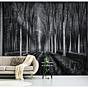 Papermoon Premium collection Fototapete In den Wal (B x H: 250 x 186 cm, Vlies) | BAUHAUS
