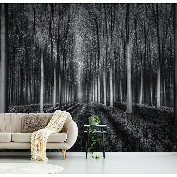 Papermoon Premium collection Fototapete In den Wal - B x H: 250 x 186 cm, Vlies - Das Produkt ist eine hochwertige Fototapete mit einem Schwarz-Weiß-Waldmotiv, die eine stimmungsvolle Atmosphäre in jeden Raum bringt.