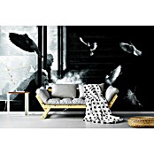 Papermoon Premium collection Fototapete Der Mann der Tauben (B x H: 500 x 280 cm, Vlies) | BAUHAUS