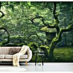 Papermoon Premium collection Fototapete Japanischer Baum (B x H: 300 x 223 cm, Vlies) | BAUHAUS