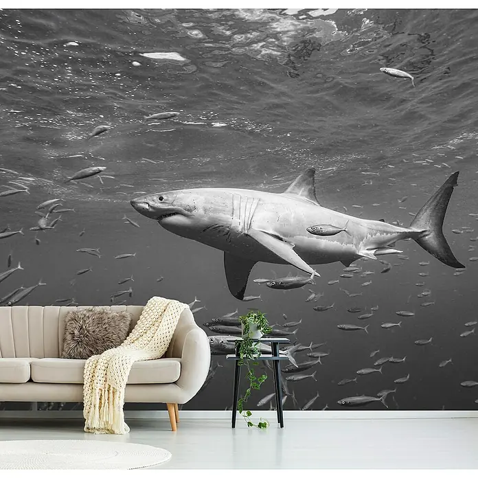Papermoon Premium collection Fototapete An der Oberfläche - B x H: 300 x 223 cm, Vlies - Wohnzimmer mit Wandbild eines großen weißen Hais im Ozean, der eine eindrucksvolle und fesselnde Atmosphäre schafft.