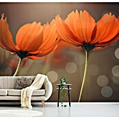 Papermoon Premium collection Fototapete Freunde (B x H: 450 x 280 cm, Vlies) | BAUHAUS