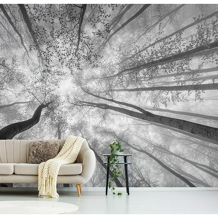 Papermoon Premium collection Fototapete Blick zu den Baumspitzen - B x H: 450 x 280 cm, Vlies - Dekorative Fototapete mit Waldmotiv, die eine ruhige Atmosphäre in jeden Raum bringt. Die Tapete ist in Schwarzweiß gehalten.