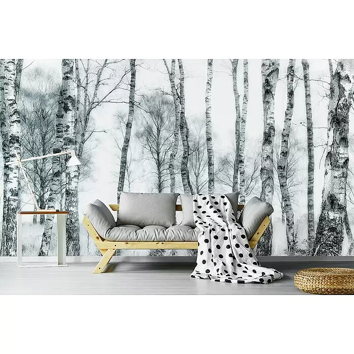 Papermoon Premium collection Fototapete Schwarz und Weiss - B x H: 400 x 260 cm, Vlies - Stimmungsaufnahme