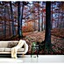Papermoon Premium collection Fototapete Durchblick im herbstlichen Wald 