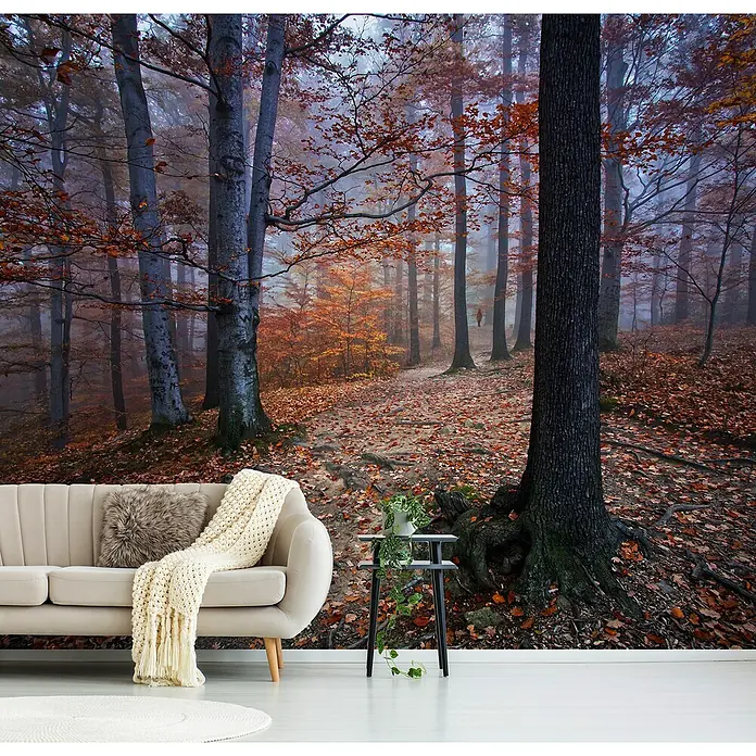 Papermoon Premium collection Fototapete Durchblick im herbstlichen Wald - B x H: 200 x 149 cm, Vlies - Ein stilvolles Wohnzimmer mit einer Tapete, die einen nebligen Wald im Herbst darstellt, ergänzt durch ein beiges Sofa und einen kleinen Beistelltisch.