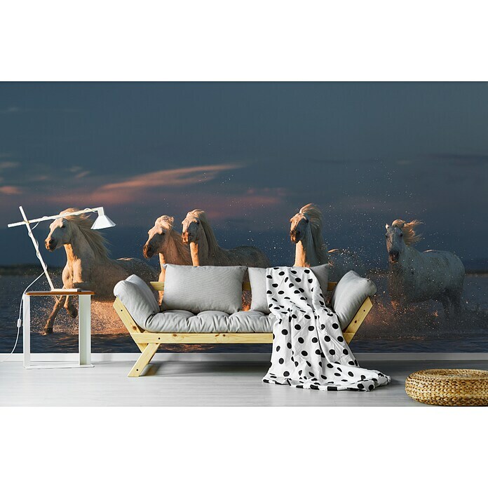 Papermoon Premium collection Fototapete Pferde im Meer (B x H: 400 x 260 cm, Vlies) | BAUHAUS