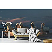 Papermoon Premium collection Fototapete Pferde im Meer (B x H: 450 x 280 cm, Vlies) | BAUHAUS