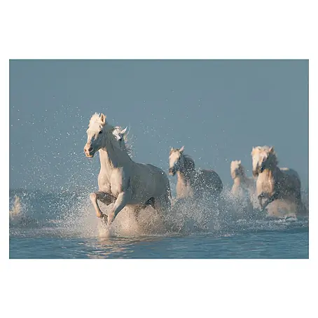 Papermoon Premium collection Fototapete Angels von Camargue
