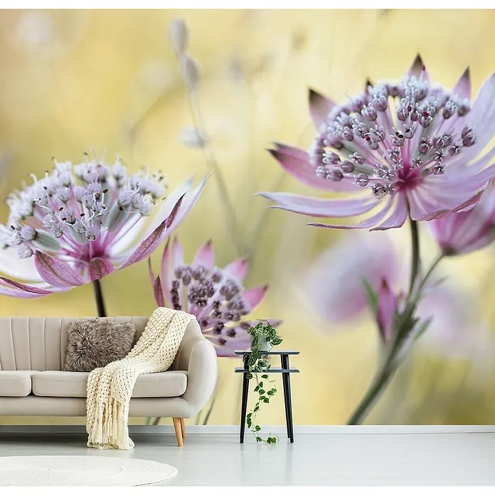 Papermoon Premium collection Fototapete Astrantia-Major - B x H: 250 x 186 cm, Vlies - Wohnzimmer mit floraler Fototapete. Die Tapete zeigt rosa Astrantia-Blüten und verleiht dem Raum eine frische und natürliche Atmosphäre.