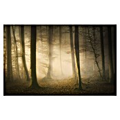 Papermoon Premium collection Fototapete November flüstert (B x H: 350 x 260 cm, Vlies) | BAUHAUS