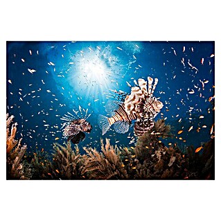 Papermoon Premium collection Fototapete Lionfish (B x H: 250 x 186 cm, Vlies)