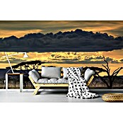 Papermoon Premium collection Fototapete Pinien in Savanne (B x H: 300 x 223 cm, Vlies) | BAUHAUS