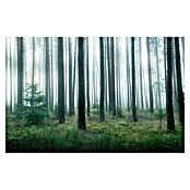 Papermoon Premium collection Fototapete See im Wald (B x H: 450 x 280 cm, Vlies) | BAUHAUS