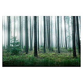 Papermoon Premium collection Fototapete See im Wald (B x H: 450 x 280 cm, Vlies)