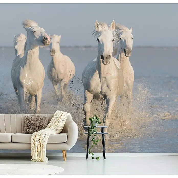 Papermoon Premium collection Fototapete Pferdenmeer - B x H: 250 x 186 cm, Vlies - Wandbild mit weißen Pferden im Galopp im Wasser, montiert im Wohnzimmer über einem beigen Sofa und einem kleinen Tisch.