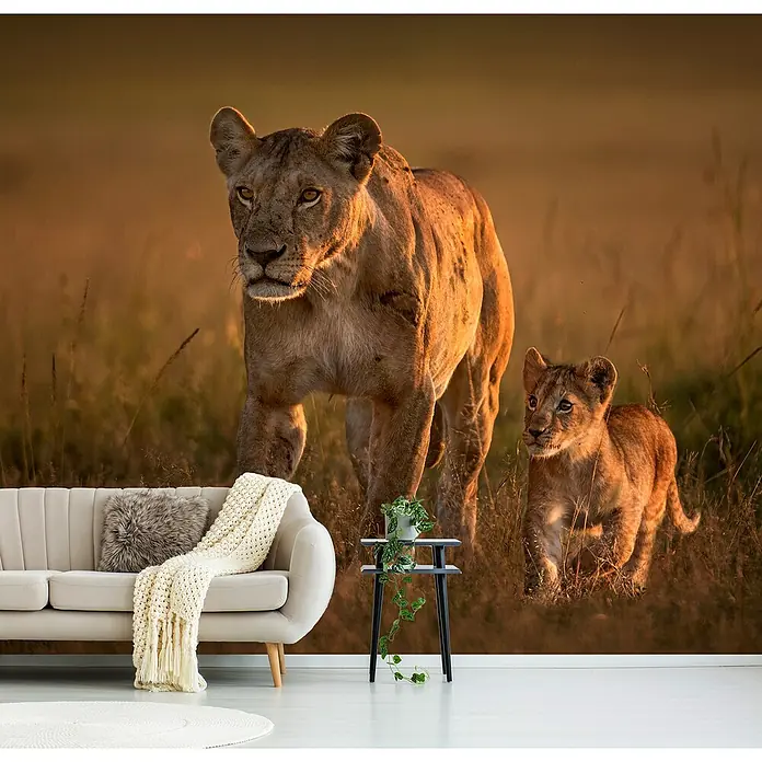 Papermoon Premium collection Fototapete Mom Löwin Mit Cub - B x H: 500 x 280 cm, Vlies - Dieses atemberaubende Wandbild zeigt eine Löwin und ihr Junges in der Savanne. Eine tolle Dekoration für Tierliebhaber, die das Ambiente aufwertet.