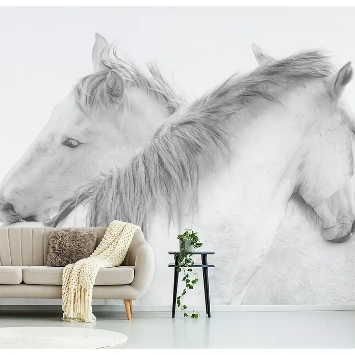 Papermoon Premium collection Fototapete Pferde - B x H: 400 x 260 cm, Vlies - Elegantes Wohnzimmer mit beigem Sofa, Fellkissen und Strickdecke vor einer Fototapete mit zwei weißen Pferden. Schwarzer Beistelltisch mit Grünpflanze.
