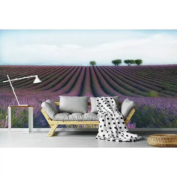 Papermoon Premium collection Fototapete Velours de lavender - B x H: 400 x 260 cm, Vlies - Ein Holzsofa mit hellgrauen Kissen und einer schwarz-weiß gepunkteten Decke, in einem Raum mit Lavendelfeld-Wandbild.