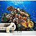 Papermoon Premium collection Fototapete Unterwasserwelt 