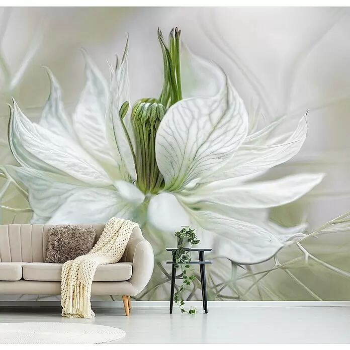Papermoon Premium collection Fototapete Nigella - B x H: 200 x 149 cm, Vlies - Großflächiges Wandbild einer weiß-grünen Blume bedeckt eine Wand, hinter einem beigen Sofa und Beistelltisch.