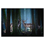 Papermoon Premium collection Fototapete Rehe (B x H: 300 x 223 cm, Vlies) | BAUHAUS