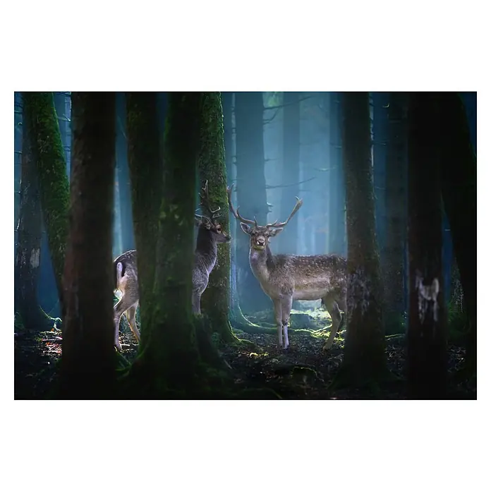 Papermoon Premium collection Fototapete Rehe - B x H: 200 x 149 cm, Vlies - Zwei Hirsche stehen inmitten eines dichten, nebelverhangenen Waldes, umgeben von hohen Bäumen mit moosbedeckten Stämmen.