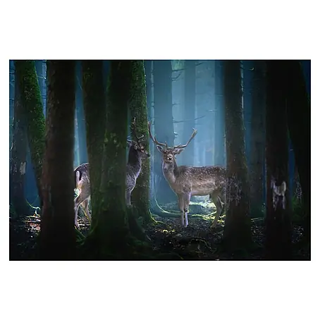 Papermoon Premium collection Fototapete Rehe