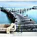 Papermoon Premium collection Fototapete Carrasqueira II 