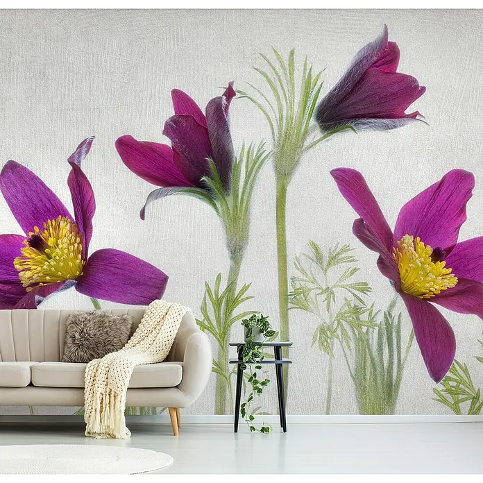 Papermoon Premium collection Fototapete Pulsatilla - B x H: 350 x 260 cm, Vlies - Nahaufnahme eines Raumes mit einem beigen Sofa und einem Wandbild mit violetten Blumen, das eine ruhige und stilvolle Atmosphäre schafft.