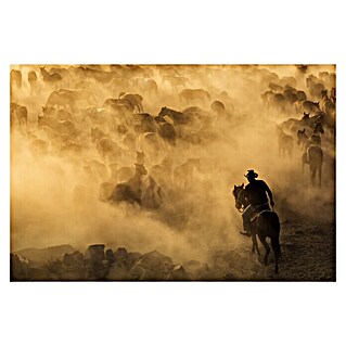 Papermoon Premium collection Fototapete Cappadocia wilde Pferde (B x H: 250 x 186 cm, Vlies)