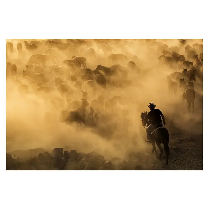 Papermoon Premium collection Fototapete Cappadocia wilde Pferde - B x H: 350 x 260 cm, Vlies - Ein Cowboy reitet durch eine Staubwolke, umgeben von einer Herde Pferde, die im goldenen Licht der Dämmerung eingefangen sind.