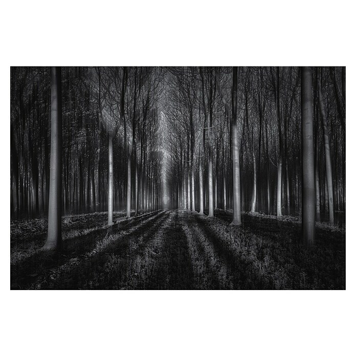 Papermoon Premium collection Fototapete In den Wal (B x H: 250 x 186 cm, Vlies) | BAUHAUS