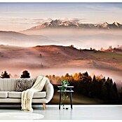 Papermoon Premium collection Fototapete Nur ein Schweigen (B x H: 500 x 280 cm, Vlies) | BAUHAUS