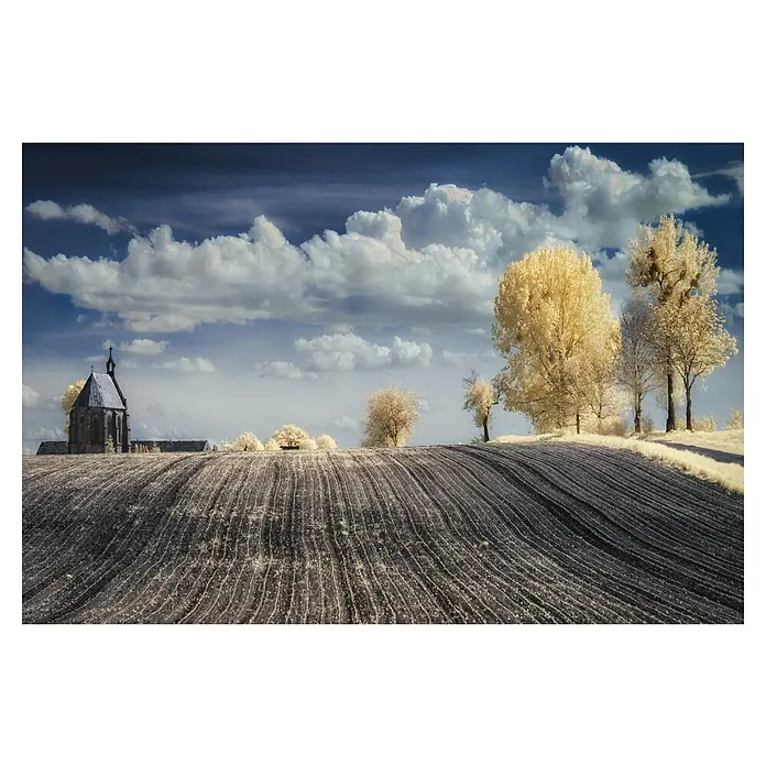 Papermoon Premium collection Fototapete Irenkowo - B x H: 400 x 260 cm, Vlies - Landschaft mit einem Feld, einem kleinen Gebäude und Bäumen unter einem bewölkten Himmel.
