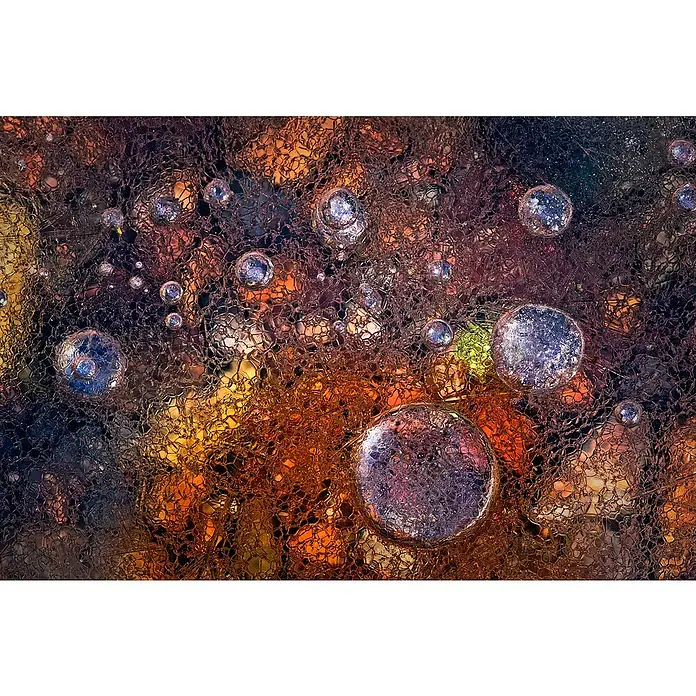 Papermoon Premium collection Fototapete Winter über Herbst - B x H: 300 x 223 cm, Vlies - Texturierte Nahaufnahme mit eingeschlossenen Blasen und lebendigen Farben.