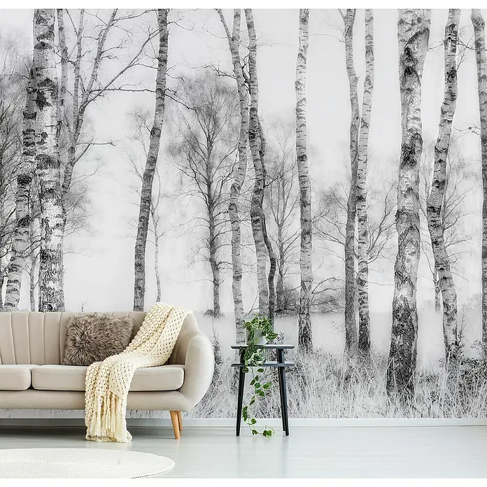 Papermoon Premium collection Fototapete Schwarz und Weiss - B x H: 400 x 260 cm, Vlies - Wohnzimmer mit beigem Sofa, Tisch mit Pflanze und einer fotorealistischen Birkenwaldtapete, die dem Raum eine natürliche Note verleiht.