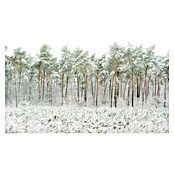 Papermoon Premium collection Fototapete Schneewelt (B x H: 450 x 280 cm, Vlies) | BAUHAUS