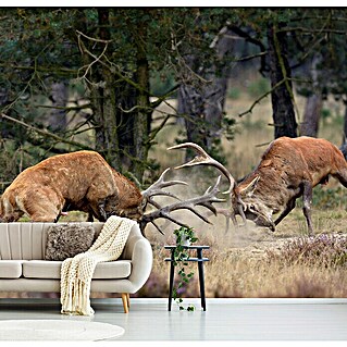 Papermoon Premium collection Fototapete Kampf der Titanen (B x H: 300 x 223 cm, Vlies)