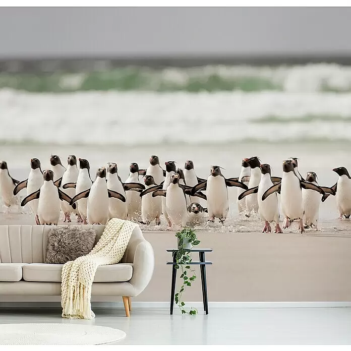 Papermoon Premium collection Fototapete Desembarco - B x H: 250 x 186 cm, Vlies - Ein großes Wandbild einer Pinguingruppe, die aus dem Meer auf einen Sandstrand läuft, bedeckt die Rückwand in einem gemütlichen Wohnzimmer.