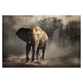 Papermoon Premium collection Fototapete Elefant Trinkwasser (B x H: 400 x 260 cm, Vlies)