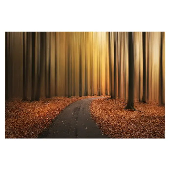 Papermoon Premium collection Fototapete Pfad zu unbekannt - B x H: 200 x 149 cm, Vlies - Herbstlicher Waldweg: Ein verschwommener Pfad schlängelt sich durch einen goldenen Herbstwald, dessen Bäume wie Pinselstriche wirken.