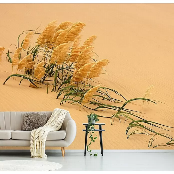 Papermoon Premium collection Fototapete Schilf in Wandüne - B x H: 500 x 280 cm, Vlies - Ein Raum mit beigem Sofa und kleinem Tisch, mit einem großen Wandbild, das sandige Wüstendünen mit hohem, goldenem Pampasgras zeigt.