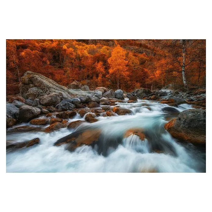 Papermoon Premium collection Fototapete Entspannen Sie sich - B x H: 250 x 186 cm, Vlies - Herbstliche Flusslandschaft mit rötlichen Bäumen und fließendem Wasser über Steine, die eine ruhige und malerische Szene erzeugen.