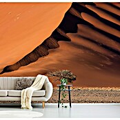 Papermoon Premium collection Fototapete Düne und Baum (B x H: 400 x 260 cm, Vlies) | BAUHAUS