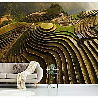 Papermoon Premium collection Fototapete Mu Cang Chai Vietnam (B x H: 350 x 260 cm, Vlies)