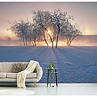Papermoon Premium collection Fototapete Schneelandschaft Winter (B x H: 450 x 280 cm, Vlies)